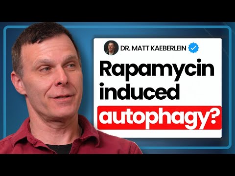 Rapamycin Improves Autophagy? | Analyzing Longevity News