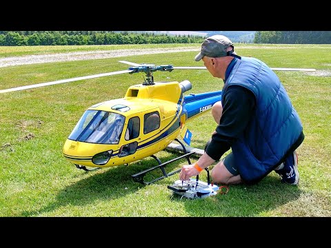 FANTASTIC RC AS-350 ECUREUIL / SCALE MODEL ELECTRIC HELICOPTER / FLIGHT DEMONSTRATION !!!