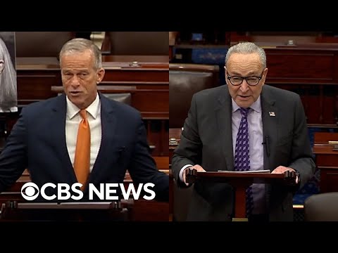 Watch: Thune, Schumer speak on government shutdown Day 28 amid impending SNAP halt