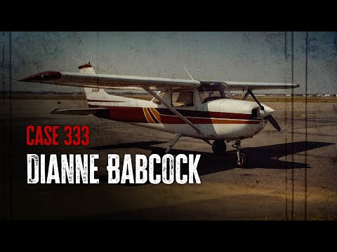 A Young Couple Vanishes Mid-flight