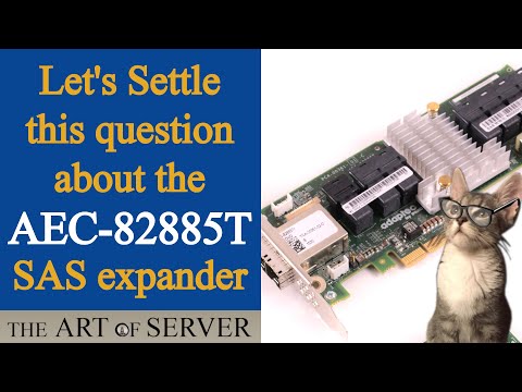 Let's settle this question about the AEC-82885T SAS expander | there are no designated ports