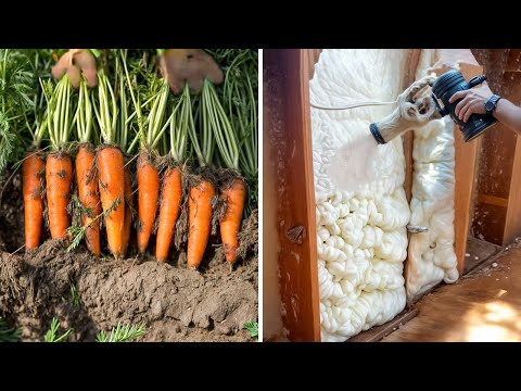 Satisfying Videos of Workers Doing Their Job Perfectly