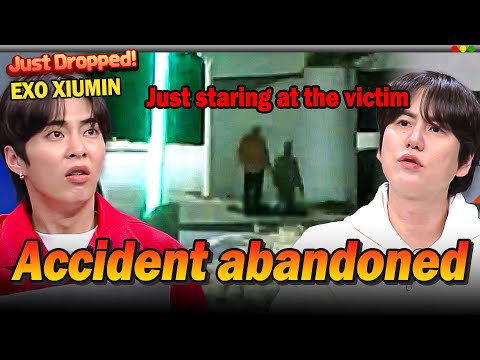 EXO XIUMIN's Dashcam Reactions: Unresponsive driver at accident scene 💥
