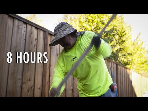 What a Full Day on a Professional Landscaping Crew Looks Like