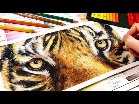 How To Use Watercolor Pencils for REALISM | Beginners Guide to Watercolor Pencils
