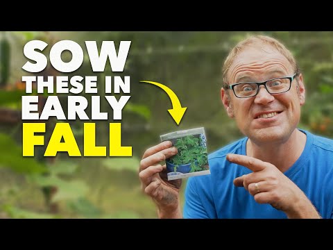 You Must Sow These Seeds in Early Autumn