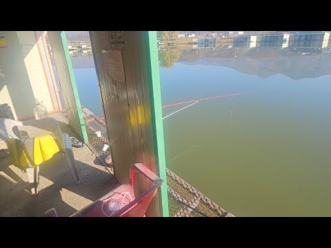 오빈낚시터 붕어 타작 시작하겠습니다!