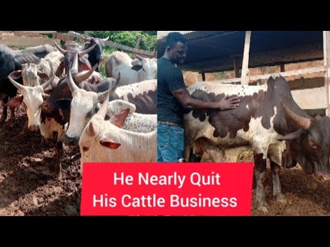 "Taking Care of Livestock:A Farmer's Fight To Keep His Cattle Business Alive "