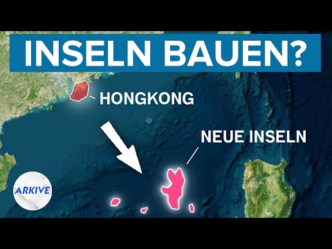 Warum Hongkongs 80-Milliarden-Dollar-Insel scheitern könnte