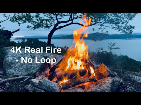 4K Fireplace TV - No Loop Campfire with Seabird Sounds for Sleep & Relaxation