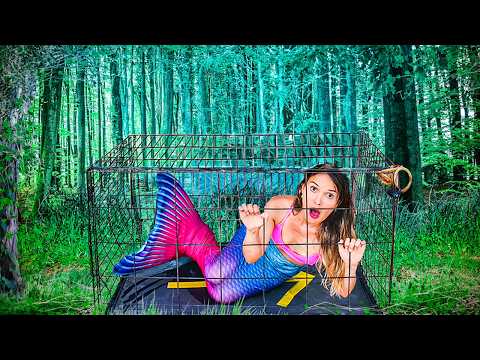 Las sirenas están atrapadas y necesitan ayuda!