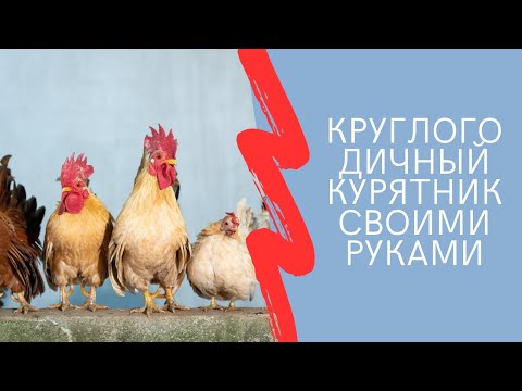Курятник своими руками. Зимний курятник. Умный курятник на 10 курочек