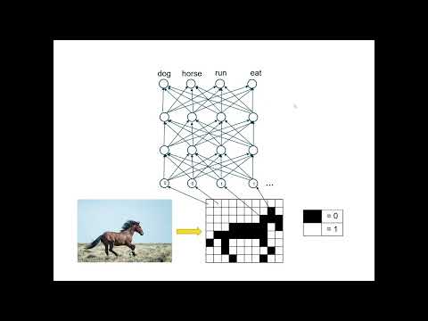 Toolkait - basic notions concerning neural networks