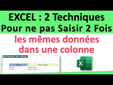 2 Techniques pour ne Jamais Saisir Deux Fois Les Mêmes Données dans Une ou Plusieurs Colonnes Excel