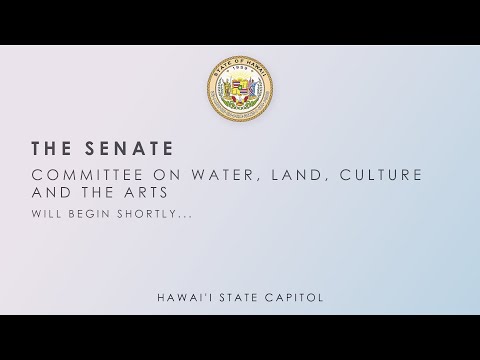 WLA, WLA DEFER Public Hearings 02-18-2026