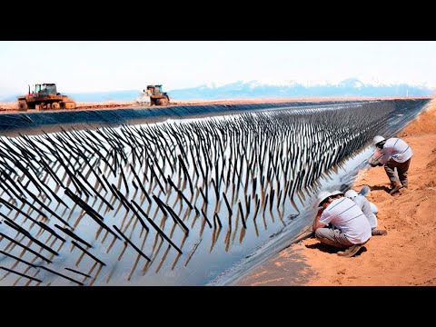 China Buried Tons of Dead Plants Under the Desert Sand and 10 Years Later It Changed Everything