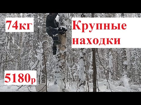 5180р за день. Крупные находки. Деньги на деревьях.