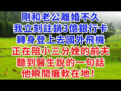 剛離婚不久，我立刻註銷3億銀行卡，轉身登上去國外飛機，正陪小三分娩的前夫，聽到醫生說的一句話，他瞬間癱軟在地！#婆媳矛盾#故事小說#家庭衝突#情感#婚姻