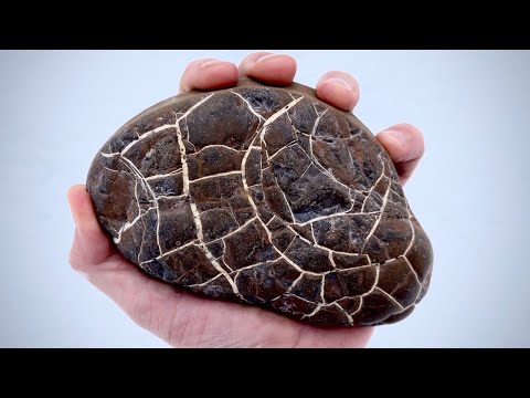 EPIC Cutting of Lightning Stones Open | Septarian Nodules rock!