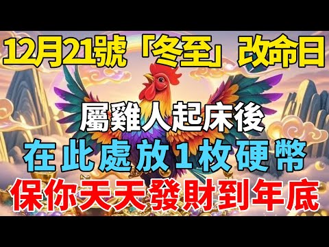 錯過再等60年！12月21號「冬至」改命日，屬雞人起床後在此處放1枚硬幣，相當於請了6個財神爺，保你天天發財到年底！【禅悟】#生肖 #運勢 #風水 #財運#命理