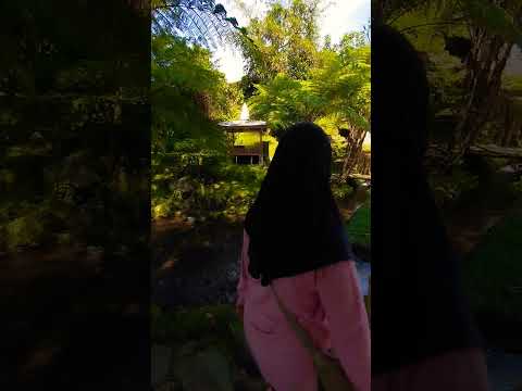 Walking Along the River to Find a Waterfall ASMR #relax #nature #river