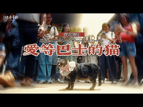 愛等巴士的貓 | 尋港記第七集