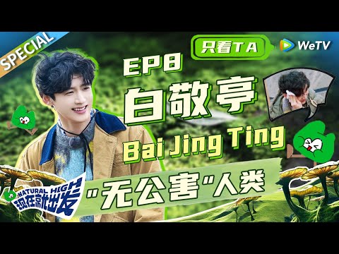 【白敬亭cut】怎么会有白敬亭脾气这么好的人？被沈腾范丞丞轮番”欺负“ 和沈腾单聊秒变乖巧小孩！《现在就出发》Natural High EP8 SPECIAL