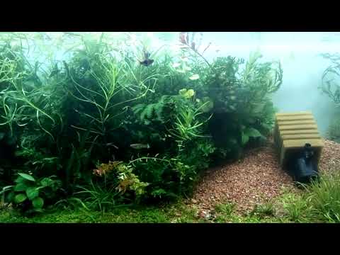 Аквариум 180 литров.