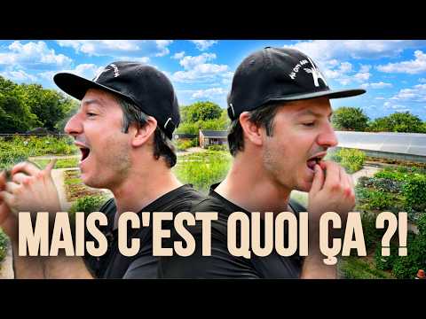 Ce parc cultive des légumes que vous n'avez JAMAIS vus
