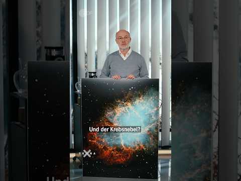 Einschalten! | #TerraX #HaraldLesch