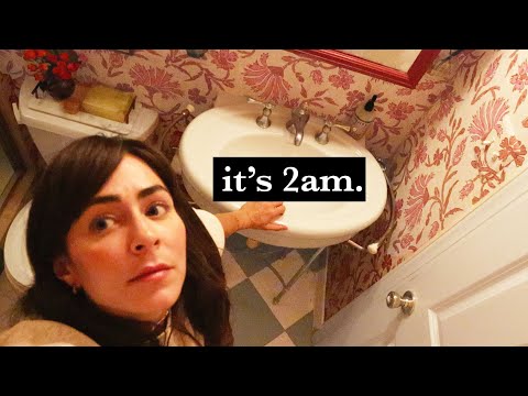 the internet's most chaotic bathroom makeover.