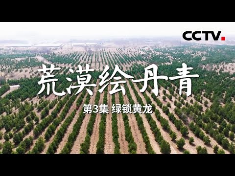 《荒漠绘丹青》 绿锁黄龙：科尔沁与浑善达克沙地的生态逆转 EP03【CCTV纪录】