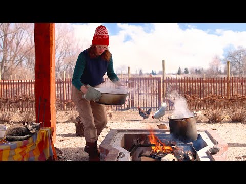 Slow Winter Days in the Country: Making Maple Syrup From Scratch 🍁 Banana Cream Pie 🥧 Cooking ASMR