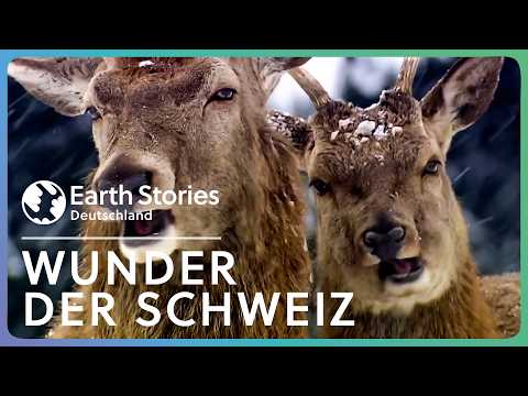 XXL-Doku: Faszination Schweiz - Eine Wunderwelt im Schnee