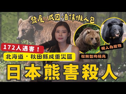 日本熊害172人遇襲創歷史新高 13分鐘懶人包分析最新發展及成因 遊日高危區北海道白川鄉秋田縣自保指南 「熊食人」恐成新常態 #RubyTuesday