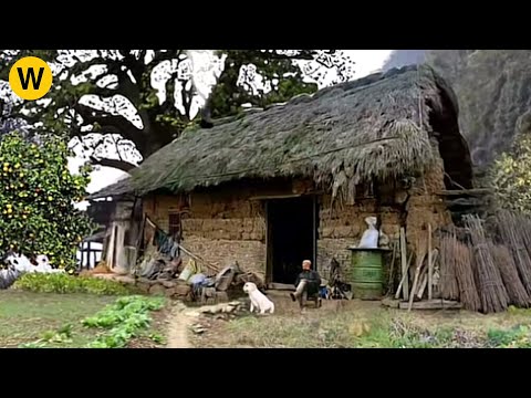 Crushing with a rural girl, a man renovates an old wooden house to draw her attention