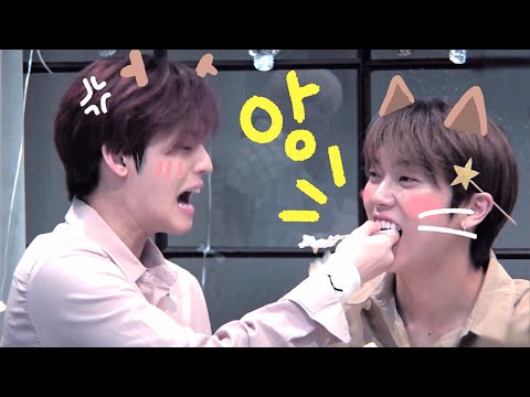 [온앤오프ONF/효진HYOJIN/엠케이MK] 노루🦌 X 야옹이😸 (❤️효진 MK 케미모음❤️)