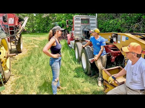 Sun, Sweat & a New Fertilizer Spreader - First Day!