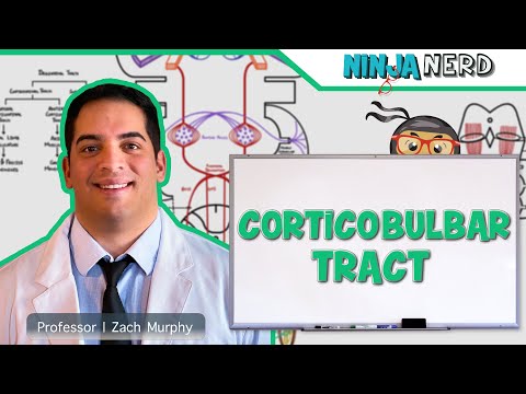 Neurology | Descending Tracts: Corticobulbar Tract
