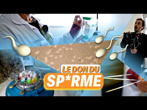 Une journée dans les coulisses du don de sp*rme