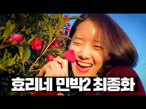 [#효리네민박2] 13~최종화 몰아보기
