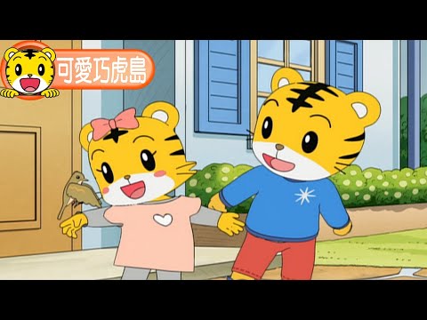 卡通【可愛巧虎島】小鳥別走