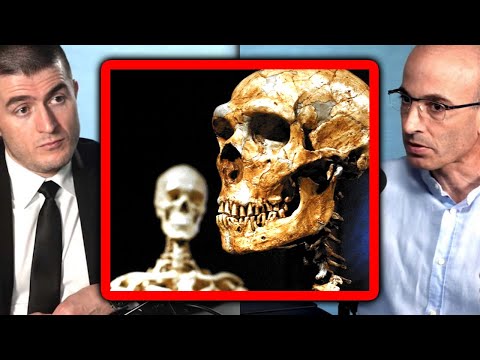 Why humans won against neanderthals | Yuval Noah Harari and Lex Fridman