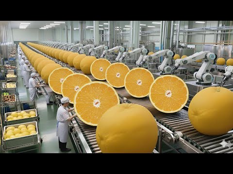 From Farm to Bottle: Inside the Orange Juice Factory Producing Fresh Orange Juice