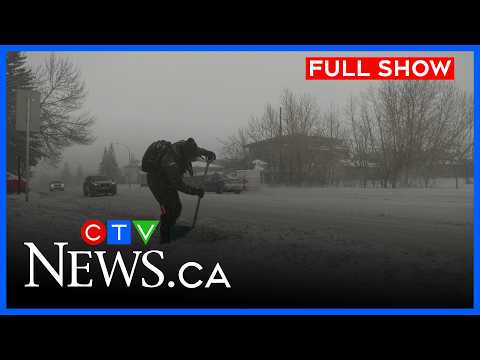 Calgary digging out from latest storm | CTV News Calgary at 11:30 for Feb. 17, 2026
