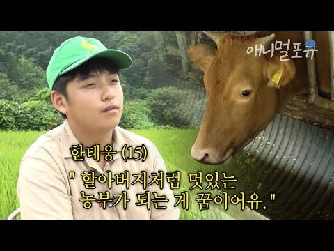 9살 생일 선물이 닭 5마리?! 소, 염소, 닭, 개를 키우는 구수~한 중학교 2학년 소년 농부!🧑‍🌾 | 농사가 좋아요 | KBS 인간극장 2017 방송