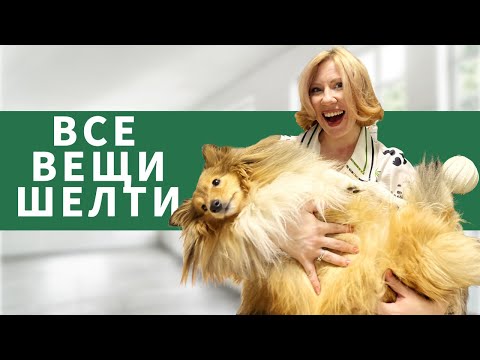 Разбираем ВСЕ вещи ШЕЛТИ