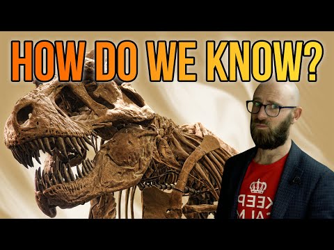 Everything Dinosaurs- When Did We Discover Dinosaurs, How Do We Know How Old They Are and Much More