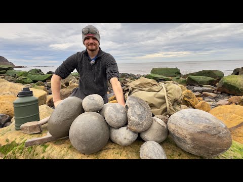 We Found Giant Stones That Were Sealed for Millions of Years – Here’s Our Fossil Hunting Finds!