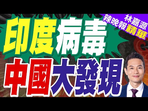 中國病毒研究所發現「一物」對印度病毒"高效抑制"｜印度病毒 中國大發現｜蔡正元.栗正傑.謝寒冰深度剖析?【林嘉源辣晚報】精華版 @中天新聞CtiNews